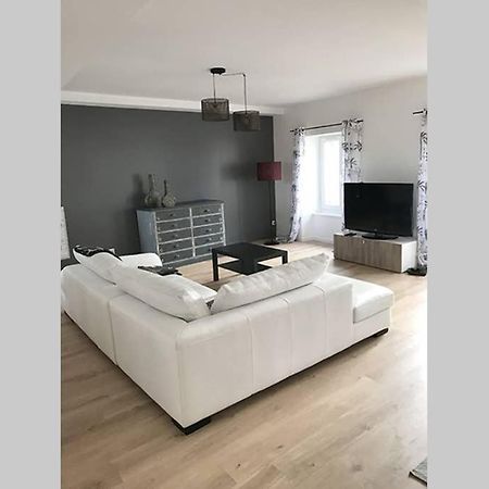 Annonay Centre, Grand Appartement Cosy, 3 Chambres Buitenkant foto