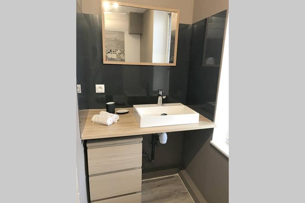 Annonay Centre, Grand Appartement Cosy, 3 Chambres Buitenkant foto