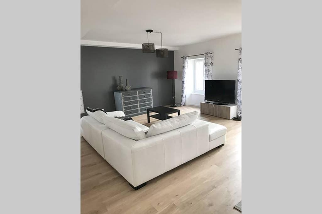 Annonay Centre, Grand Appartement Cosy, 3 Chambres Buitenkant foto